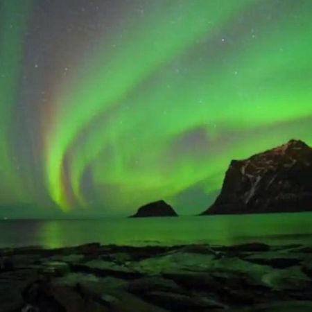 Northern Light Cabin Lofoten Sennesvik エクステリア 写真