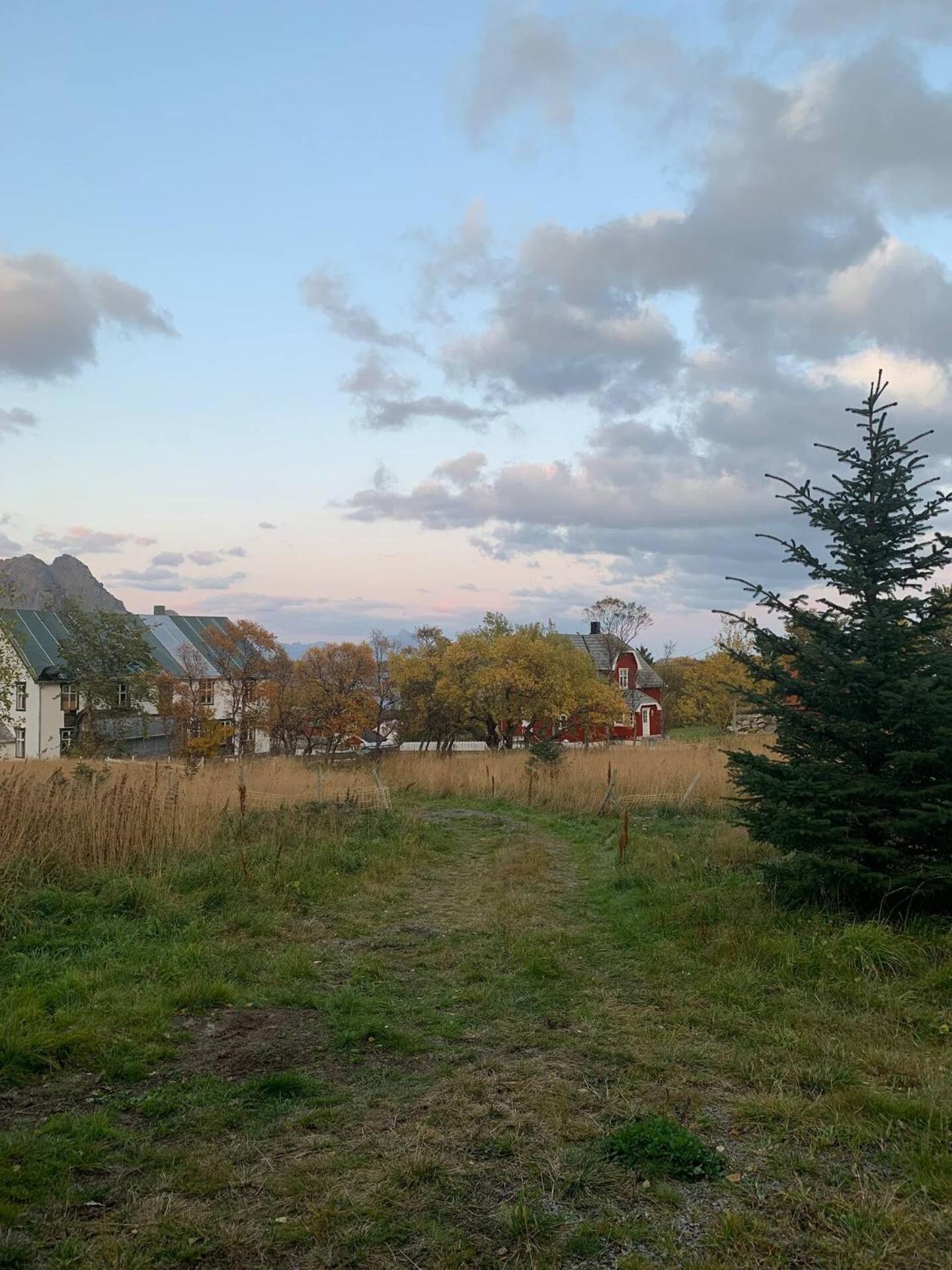 Northern Light Cabin Lofoten Sennesvik エクステリア 写真